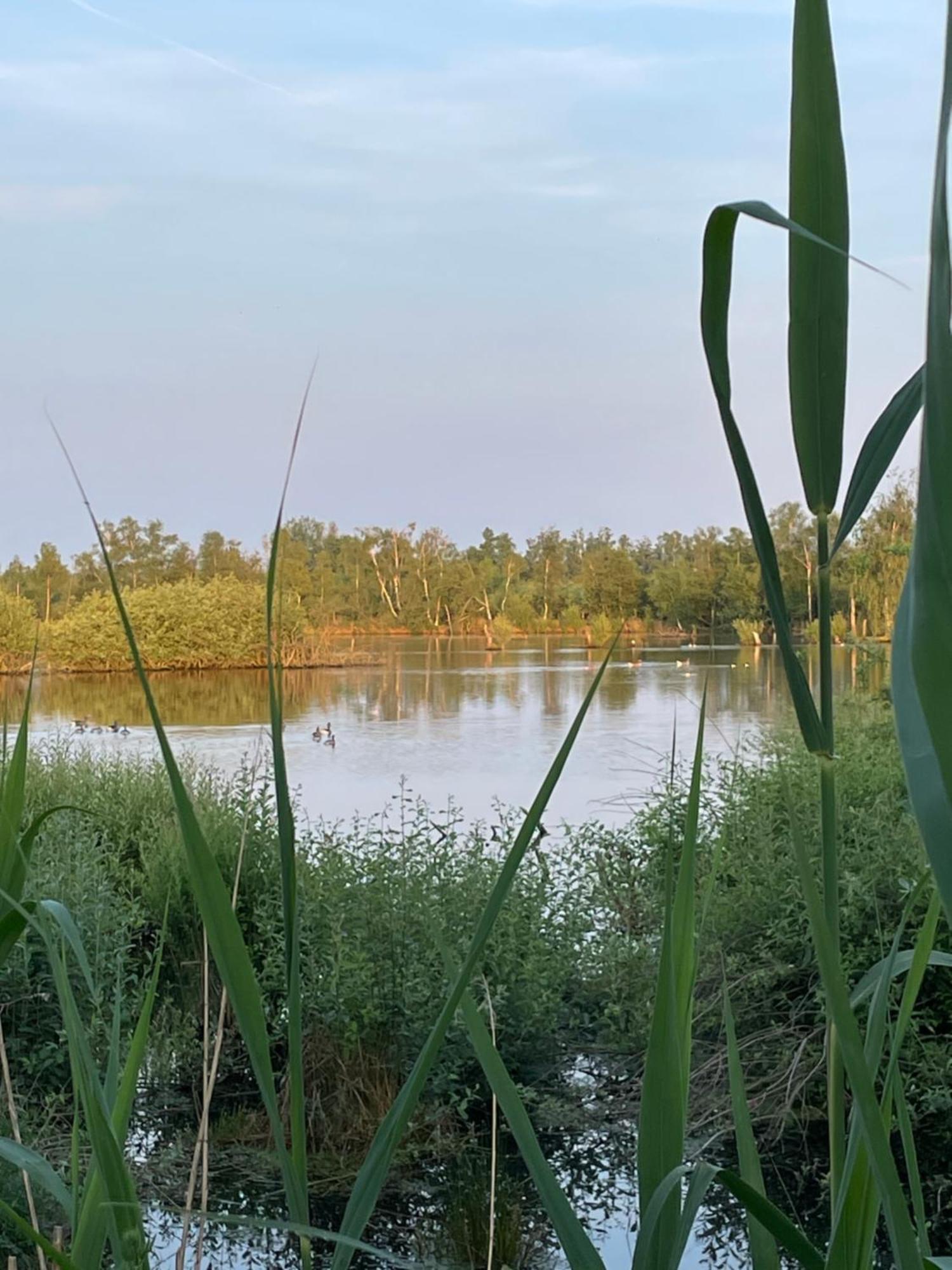 Vakantiewoning Hegga Hegelsom Exteriör bild