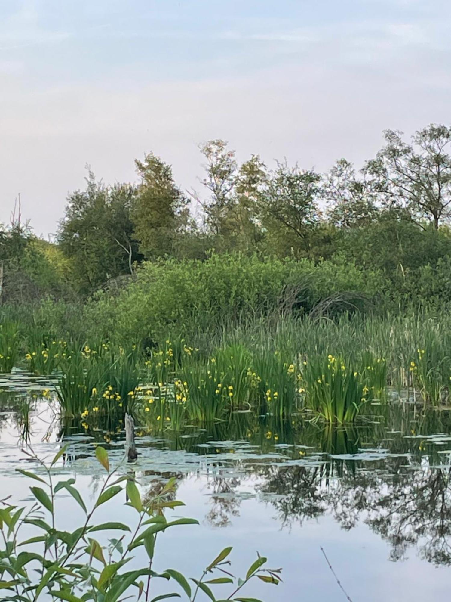 Vakantiewoning Hegga Hegelsom Exteriör bild