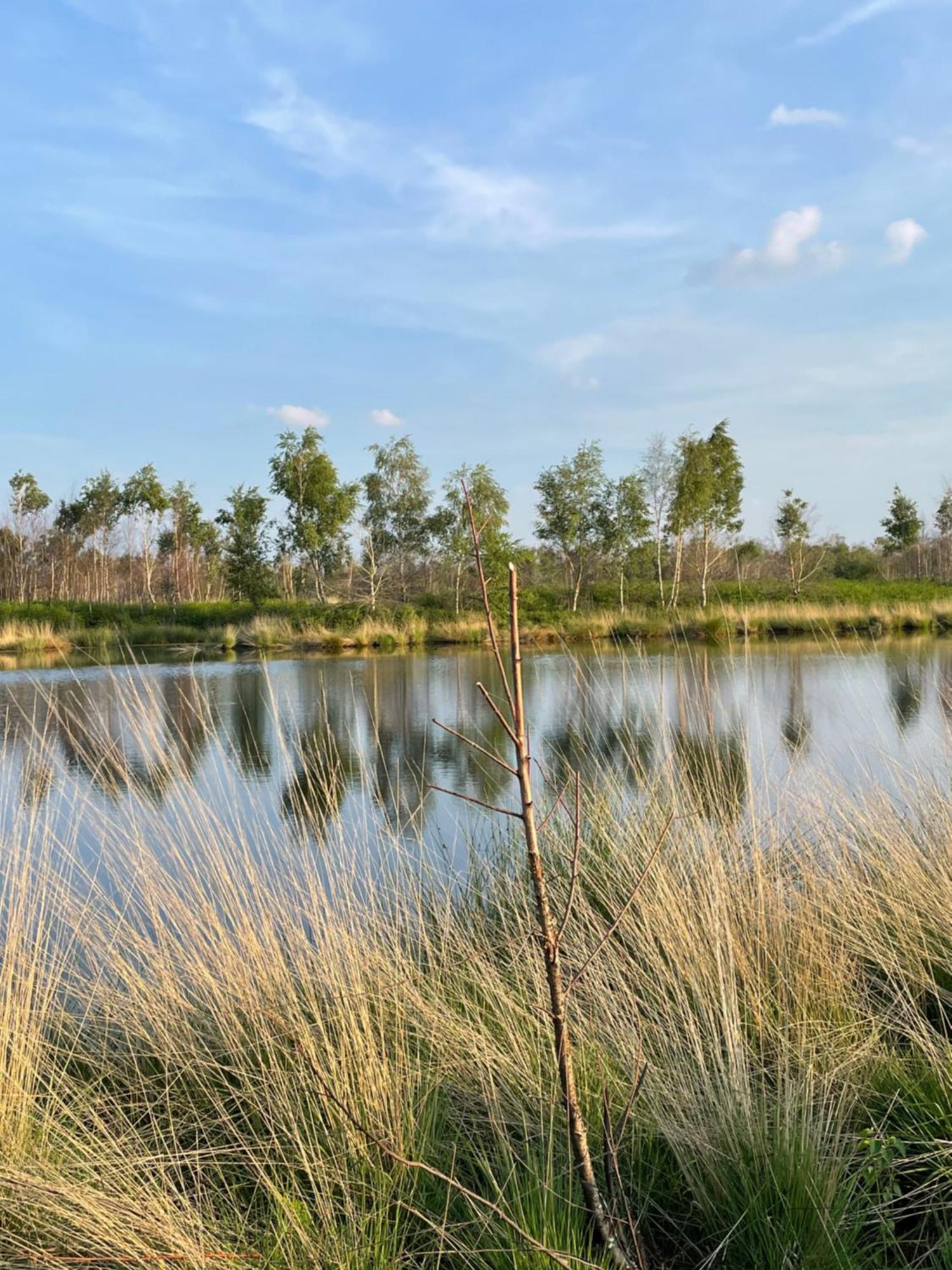 Vakantiewoning Hegga Hegelsom Exteriör bild
